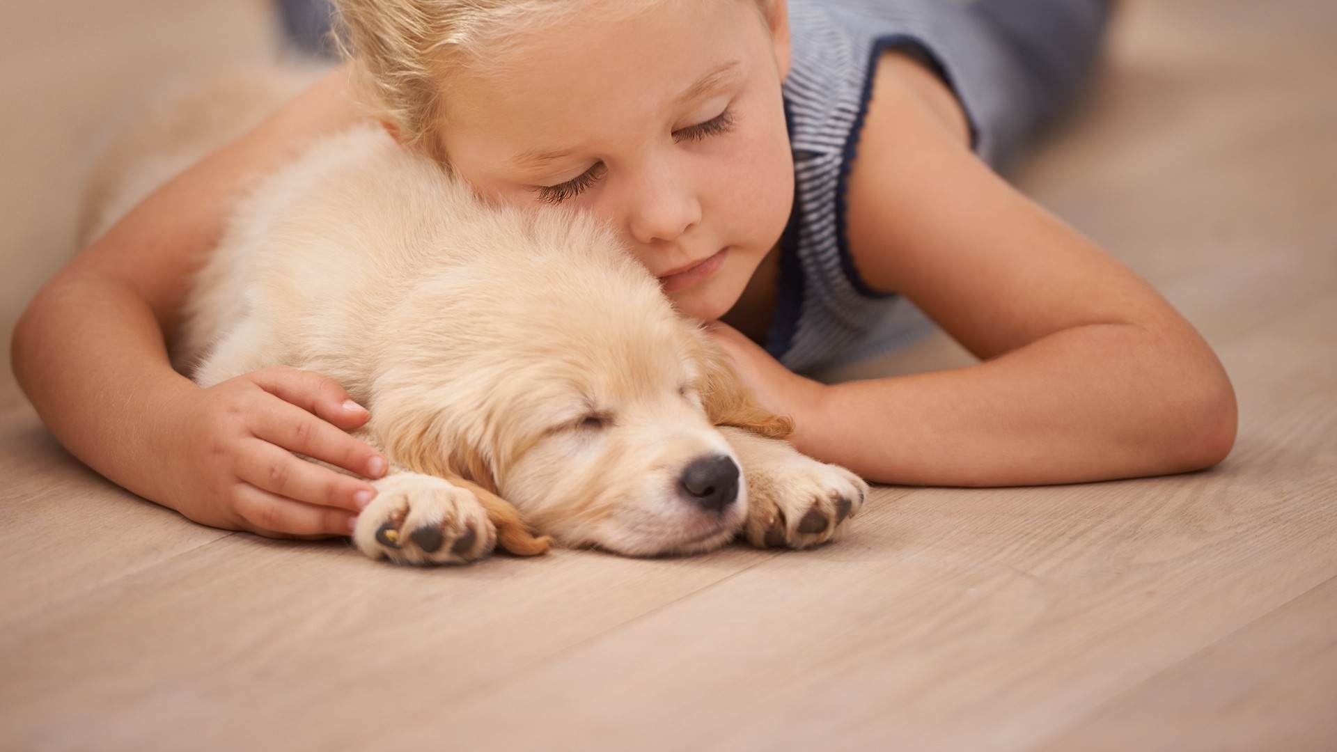 Can You Varnish a Laminated Floor?